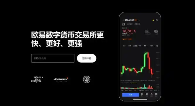 topay钱包app下载最新版本页面展示